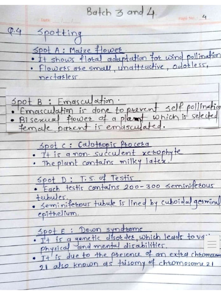 Spotting for Batch 3 and 4 | PDF