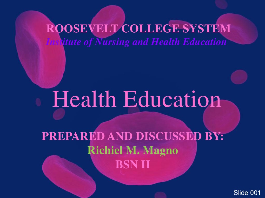 Holistic Learning Styles Overview | PDF | Learning Styles | Emergence