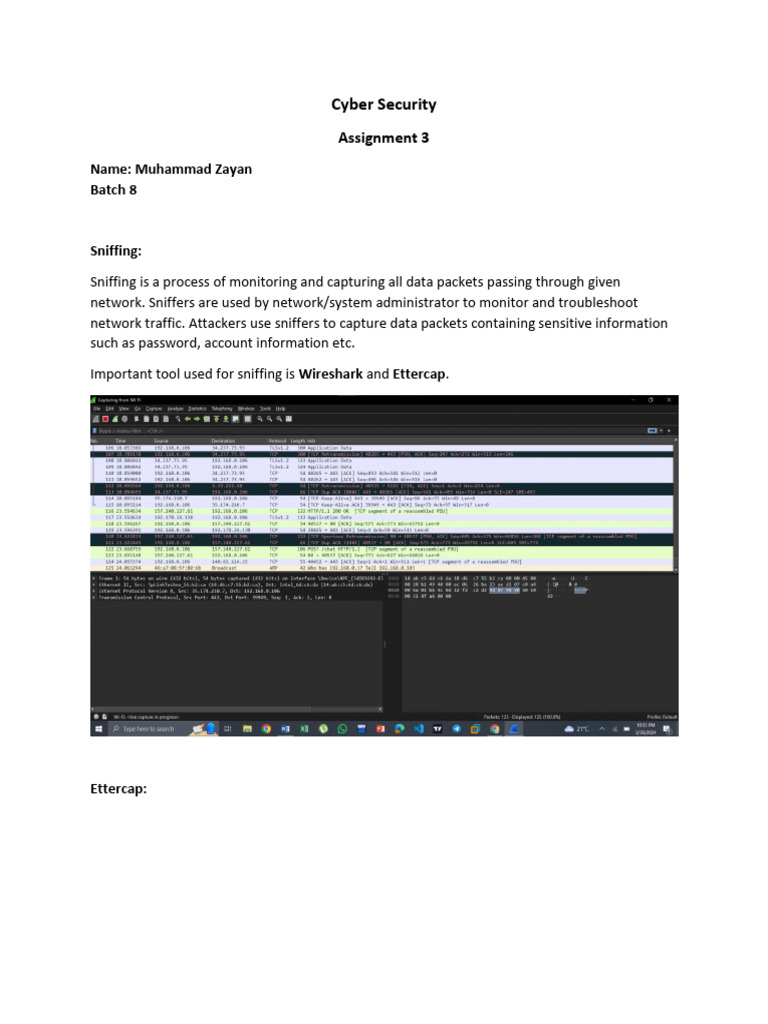 CS Assignment 3 | PDF