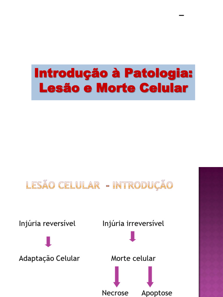 AULAS 1 e 2 - LESÃO E MORTE CELULAR - TIPOS DE NECROSE - 2024 - 1 | PDF ...