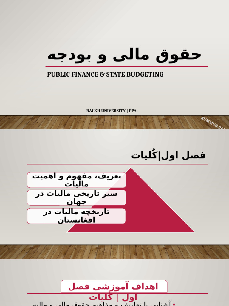 Public Finance & State Budgeting | PDF