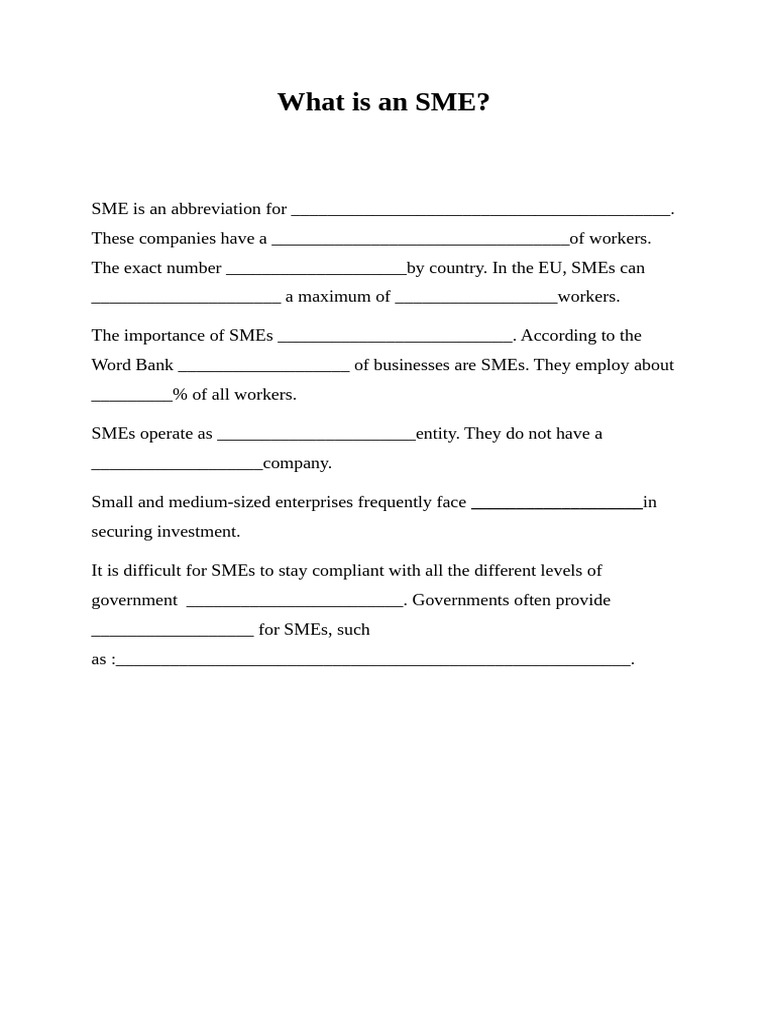 1, What Is An SME | PDF