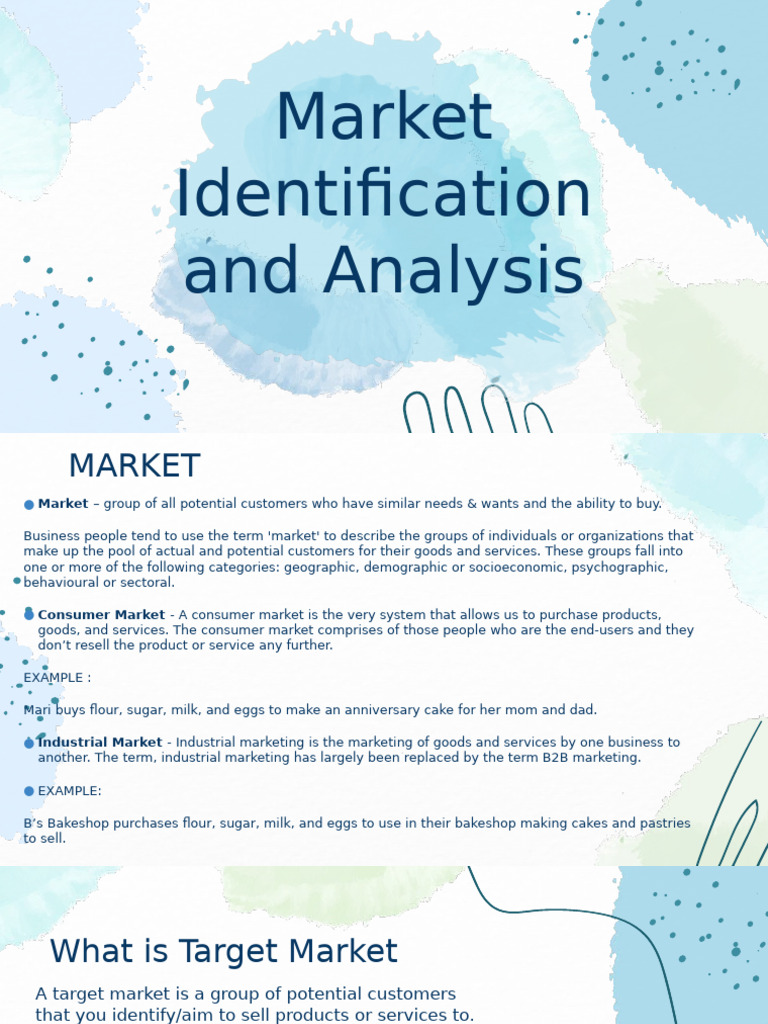 Techno - Market Identification and Analysis | PDF | Market Segmentation ...