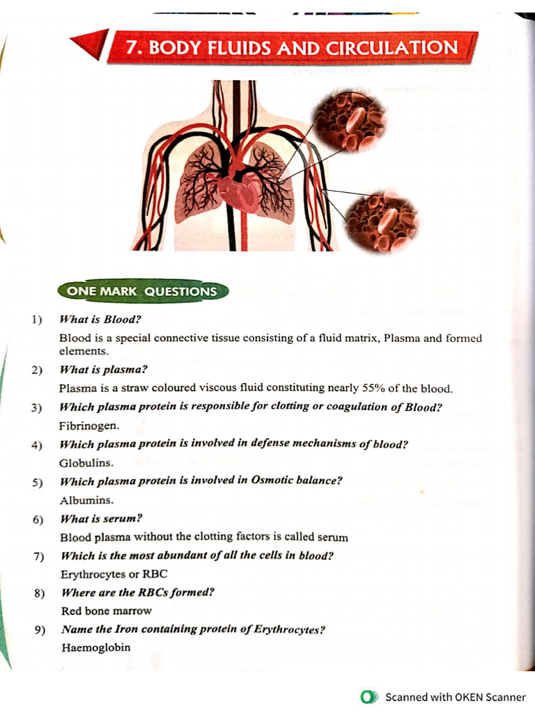 L Puc Biology Ch-15-Body Fluids and Circulation | PDF