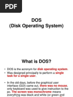 DOS (Disk Operating System)