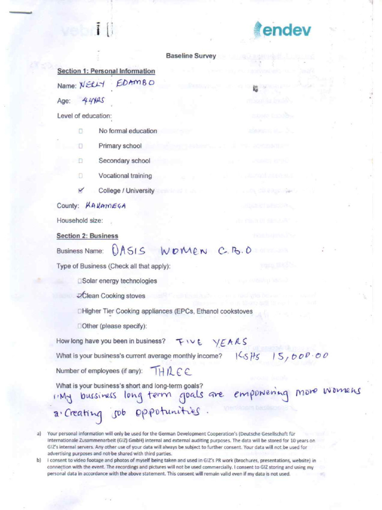 Baseline Survey | PDF