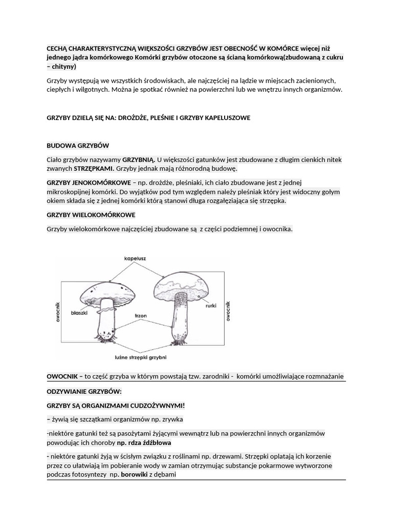 GRZYBY PROTISTY | PDF