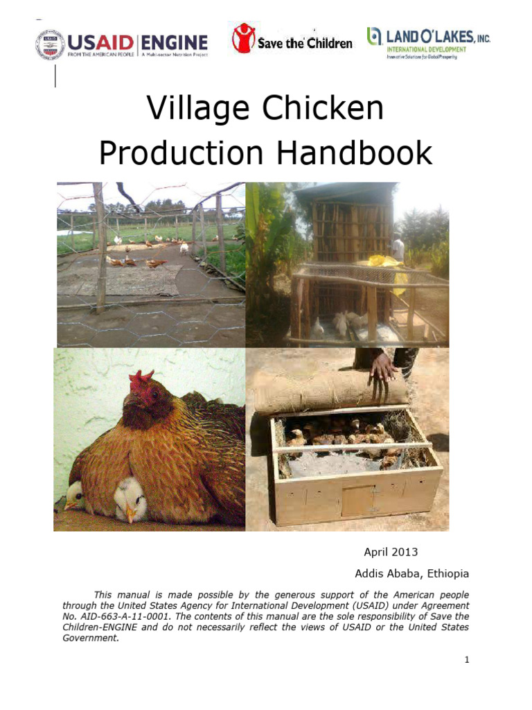 Village Chicken Production Handbook Addis Ababa | PDF | Chicken | Birds