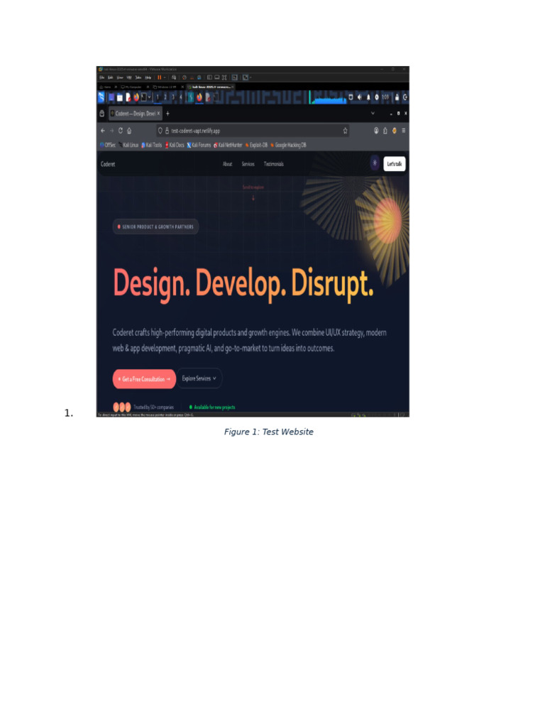Figure 1: Test Website | PDF