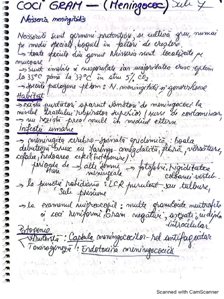 Coci Gram Negativi Meningococ, Gonococ | PDF
