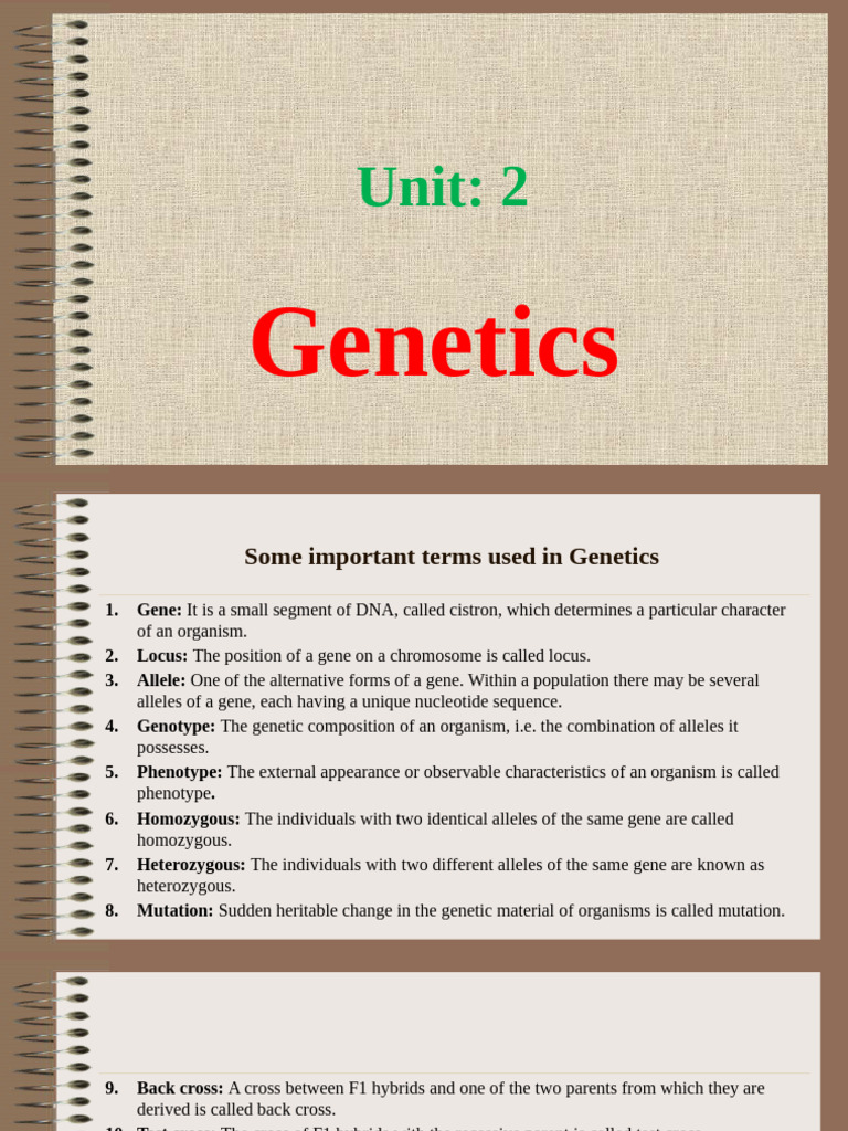 Unit 2a Genetics | PDF | Dna Replication | Dominance (Genetics)