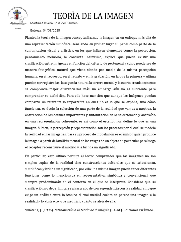 Teoria de La Imagen | PDF