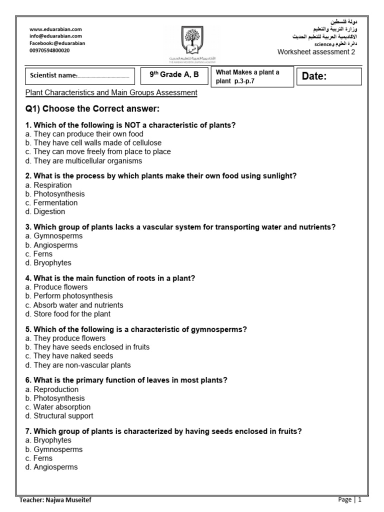 Worksheet 2 Assessment 9 | PDF | Plants | Seed