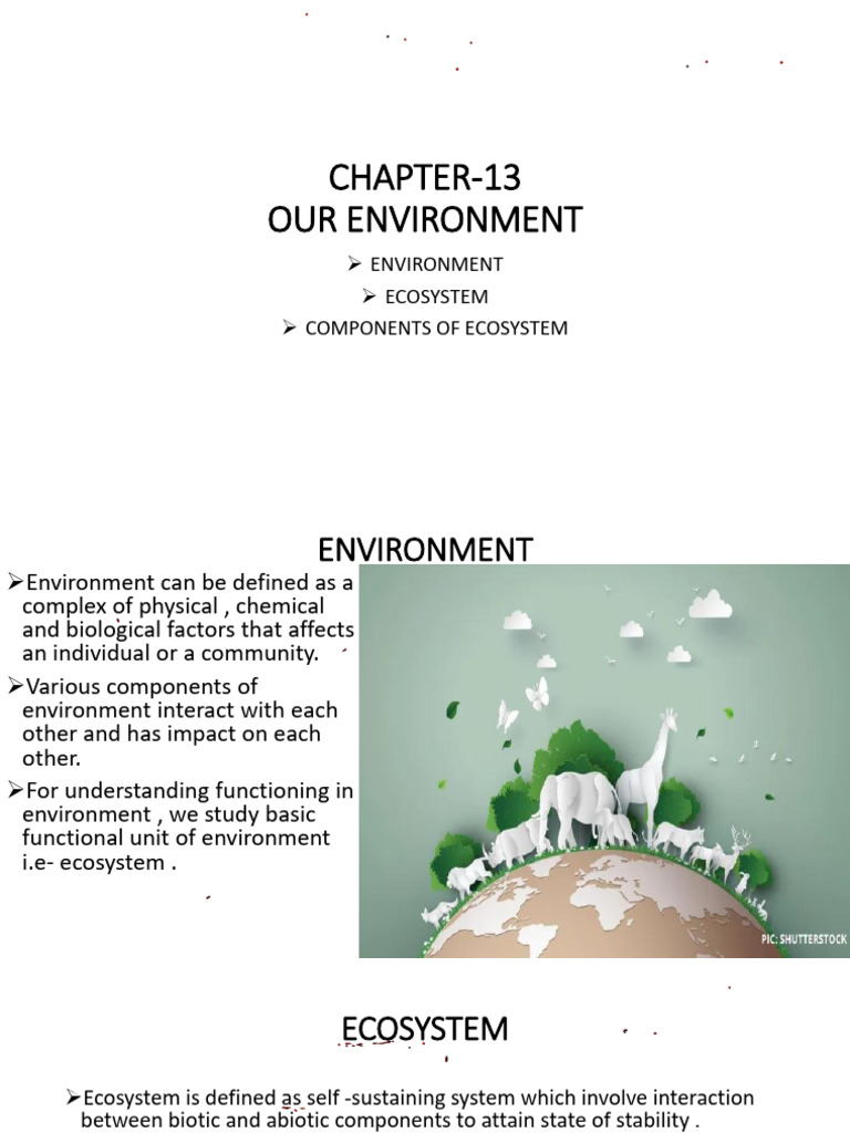 Chapter-13 Our Environment | PDF | Ecosystem | Natural Environment
