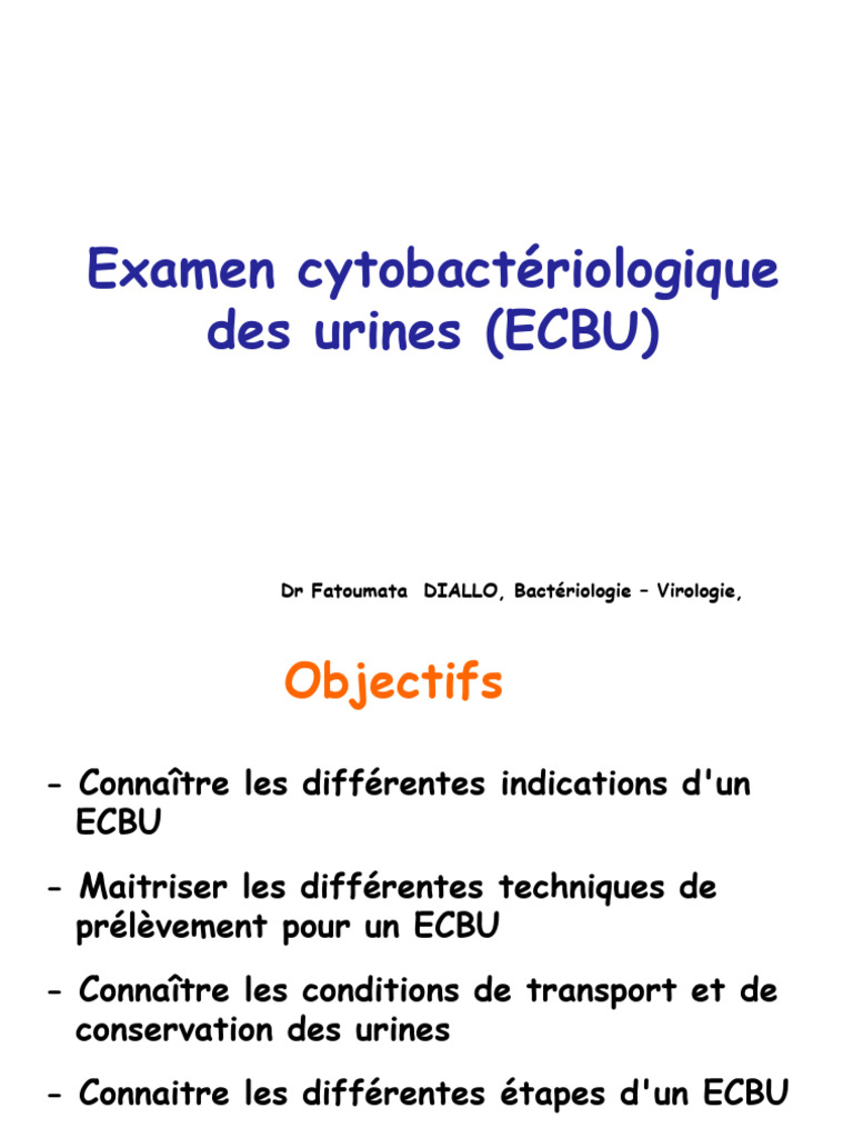 Ecbu L3 | PDF | Urine | Microbiologie