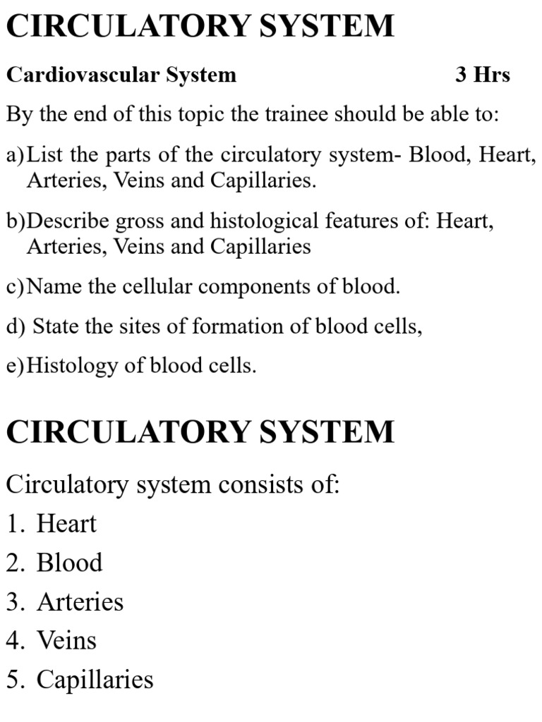 Circulatory System Anatomy | PDF | Heart Valve | Artery