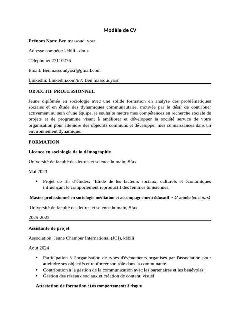 CV 2 | PDF