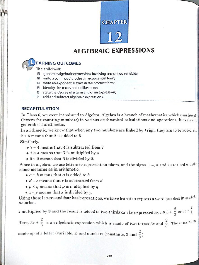 Algebraic Expression Class 7 | PDF