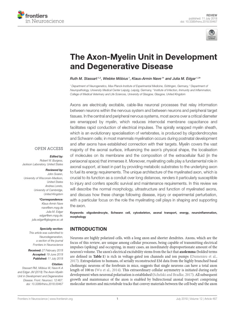 The Axon-Myelin Unit in Development and Degenerati | PDF | Axon | Myelin