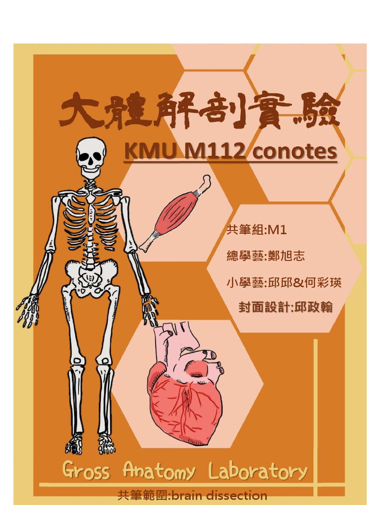 Brain Dissection - Merged | PDF