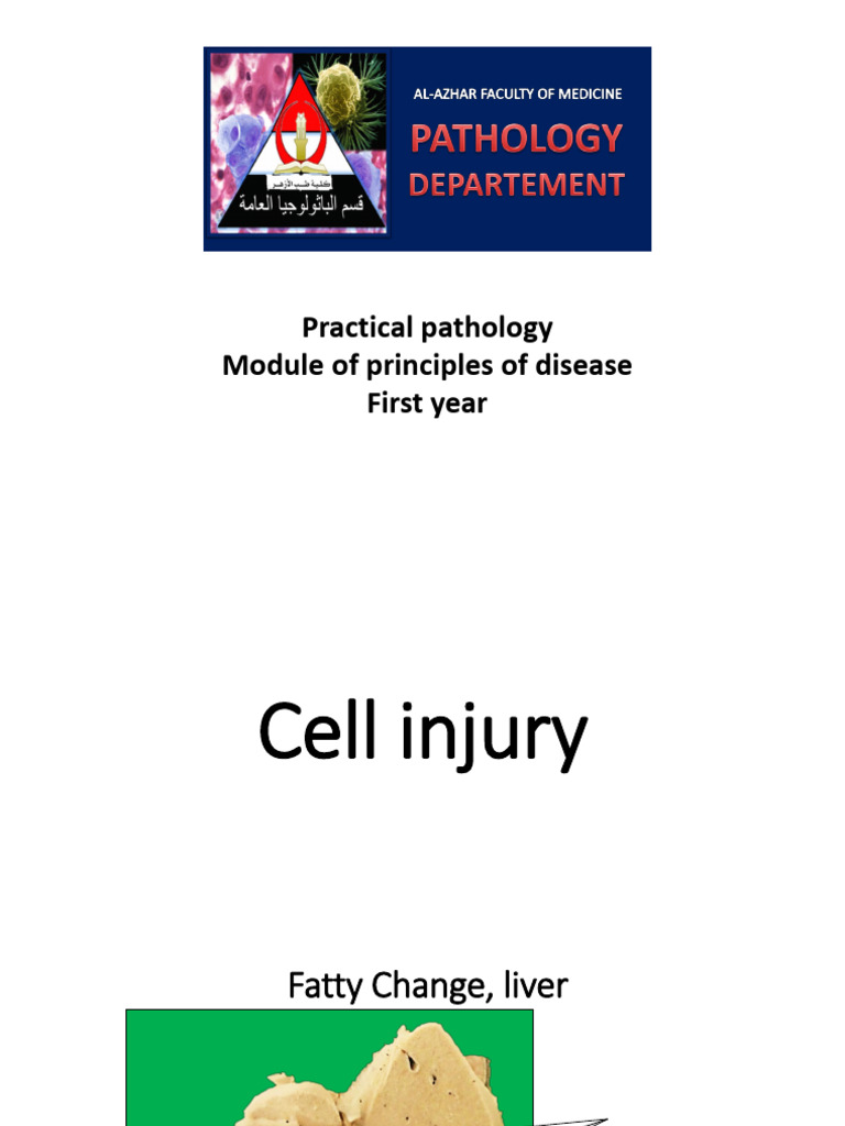 1st Year 1st Semester-General Pathology-Principles Module | PDF ...