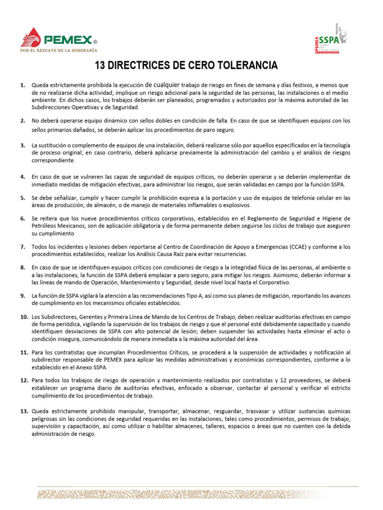 13 Directrices | PDF