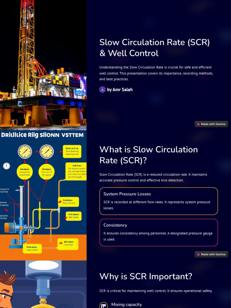 Slow Circulation Rate SCR 1743080165 | PDF