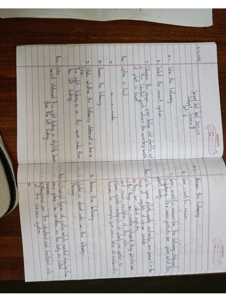 Science 2 and Maths 2 Paper Solving | PDF