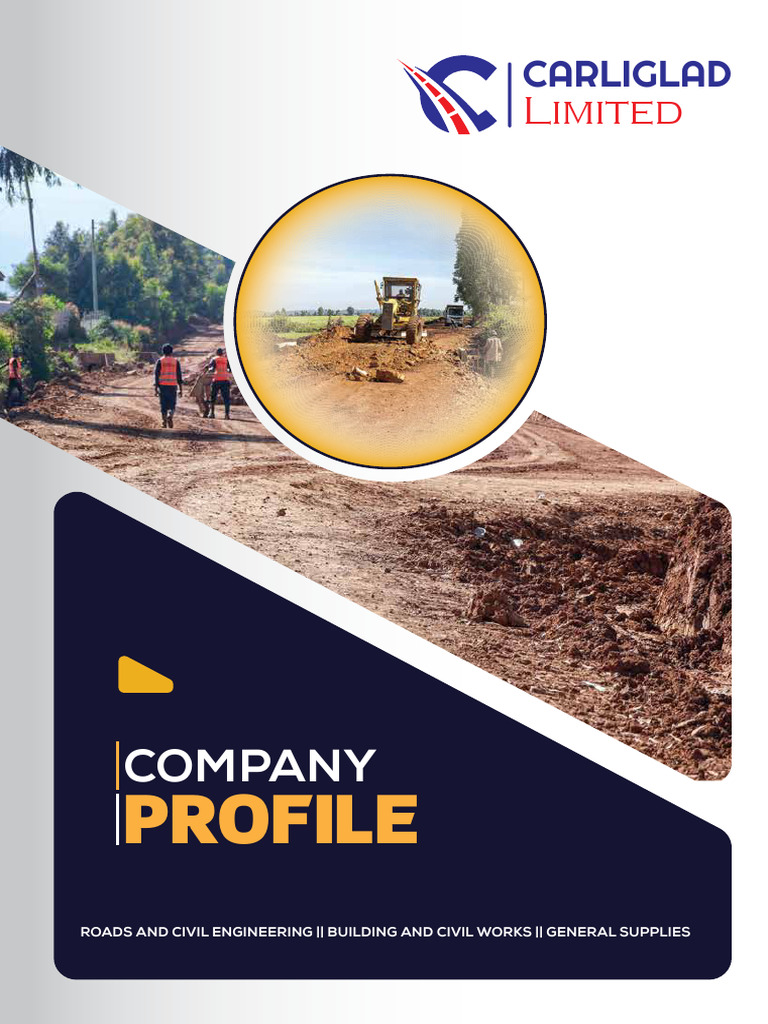 Carliglad Limited Profile 34 | PDF | Transaction Account | Banks