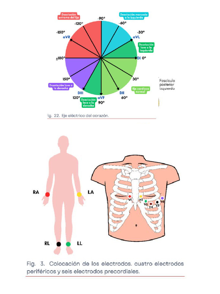 Cardio | PDF