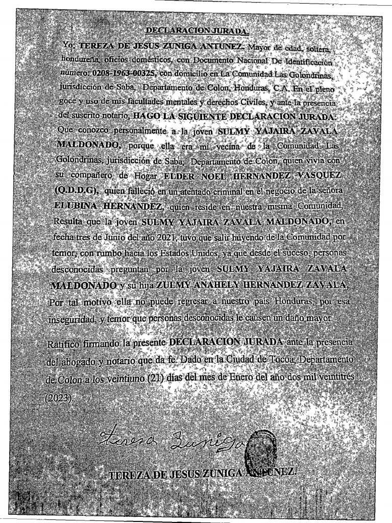 Original Declarations | PDF