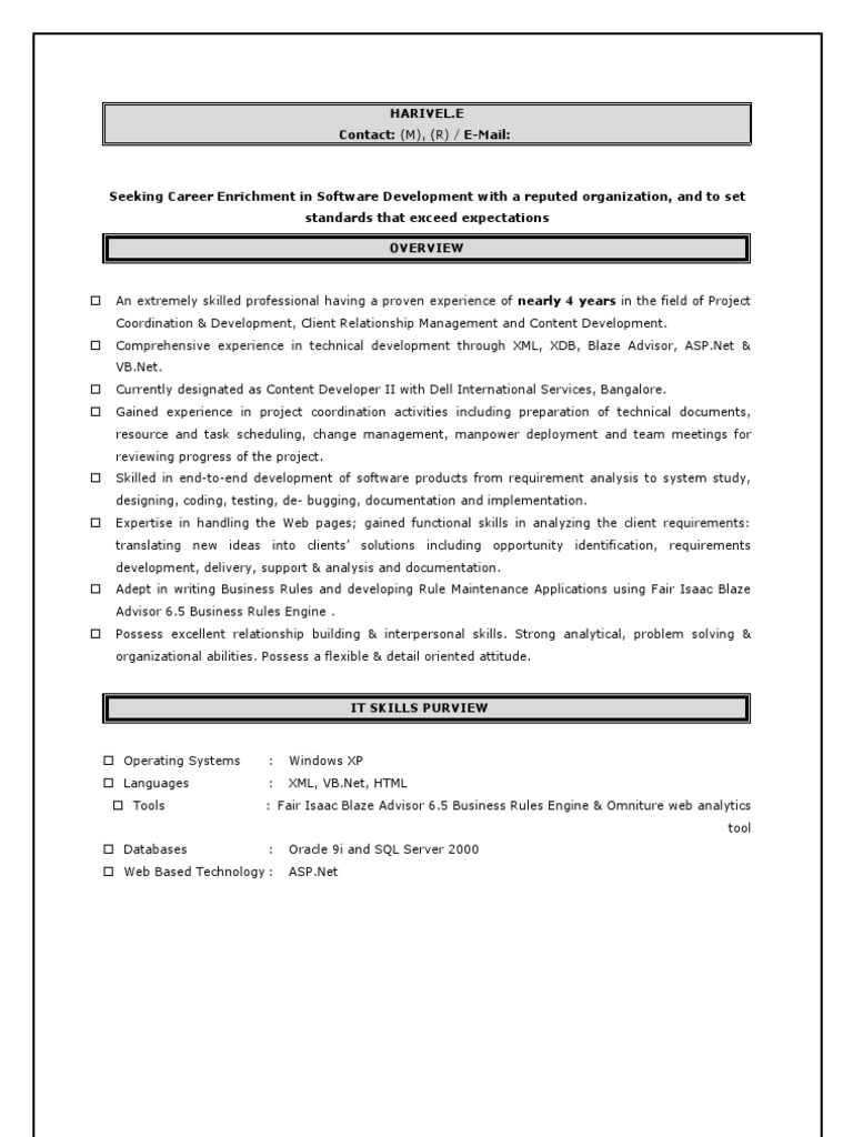 Software Development Career Profile | PDF | Search Engine Optimization ...