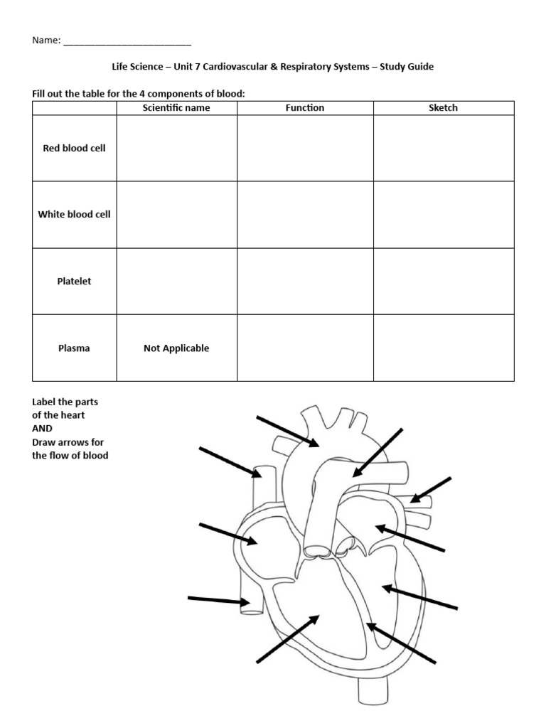 LS Unit7 StudyGuide 2025 | PDF
