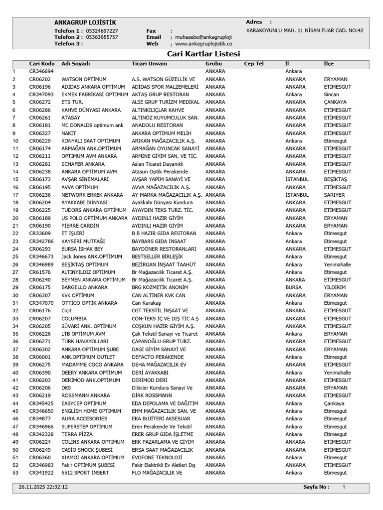 Cari Listeleri | PDF