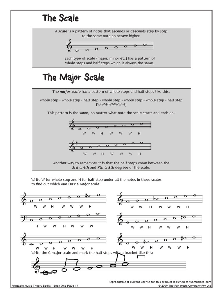 17_the Scale | PDF