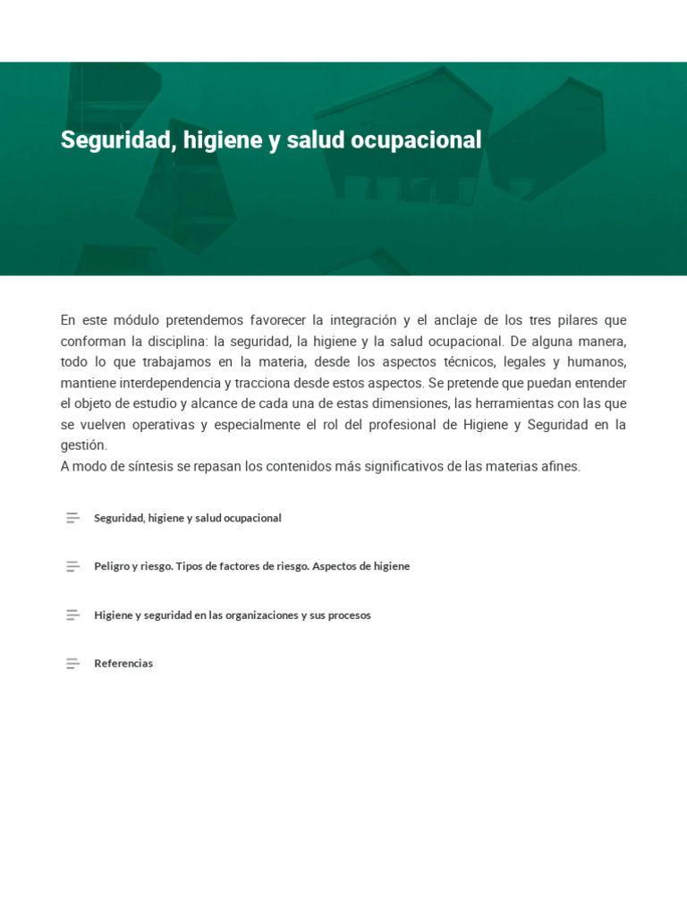Seguridad Higiene y Salud Ocupacional | PDF | Seguridad y salud ...