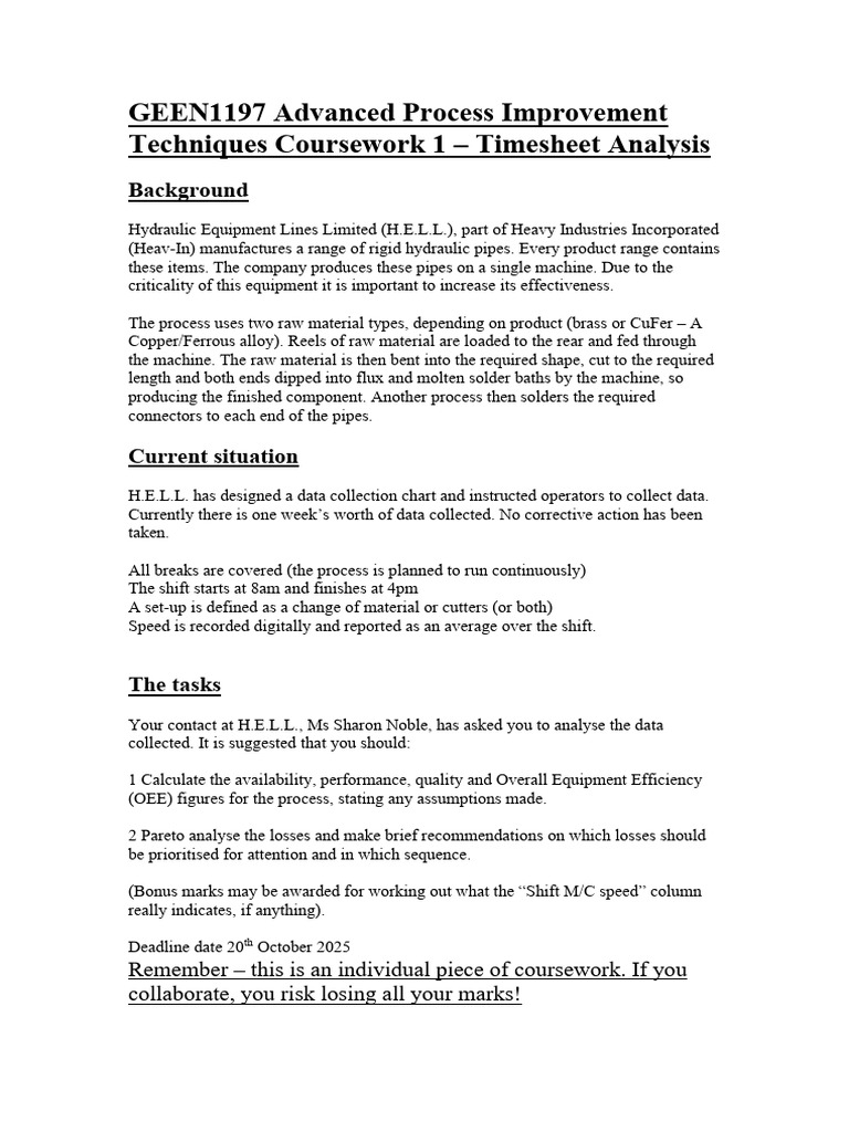 Coursework 1 Timesaheet Analysis Specification GEEN1197 2025 | PDF ...