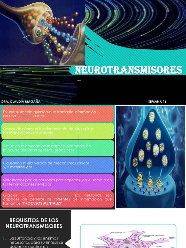 NEUROTRANSMISORES | PDF | Sinapsis | Neurotransmisor