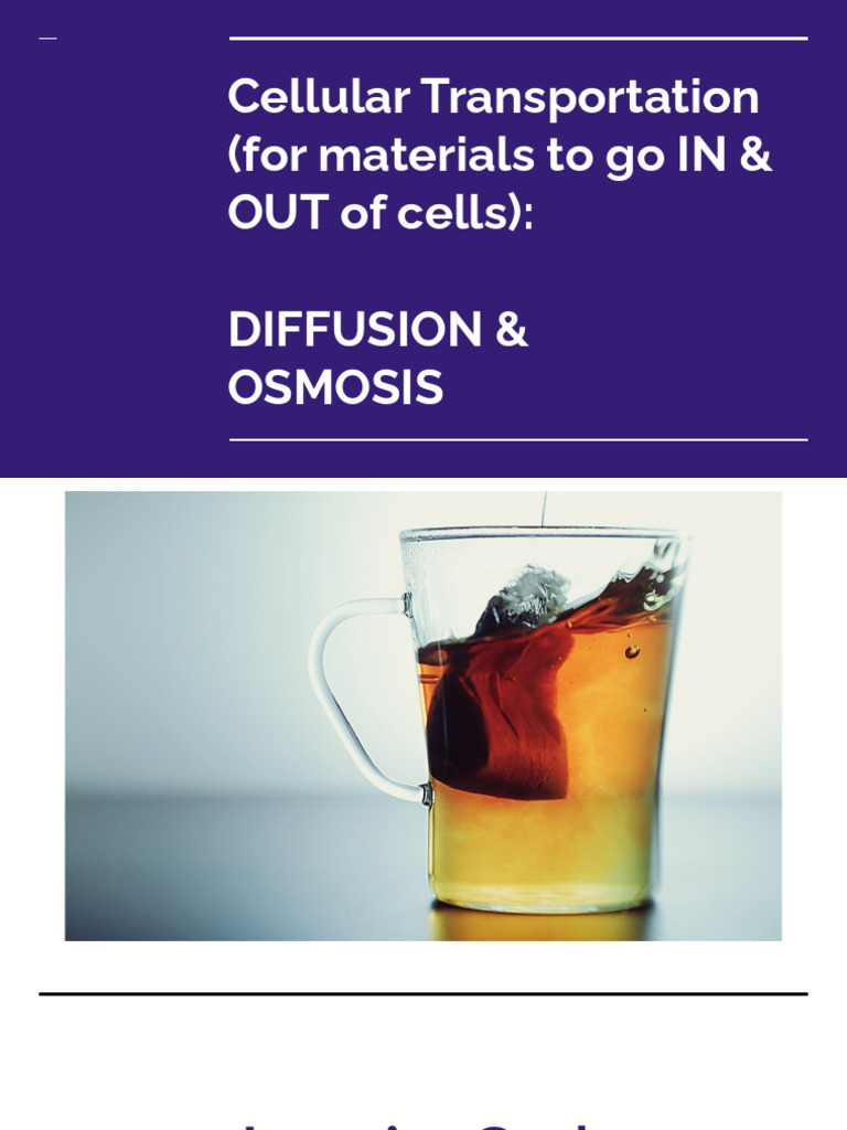 1.0 Diffusion & Osmosis | PDF | Osmosis | Diffusion