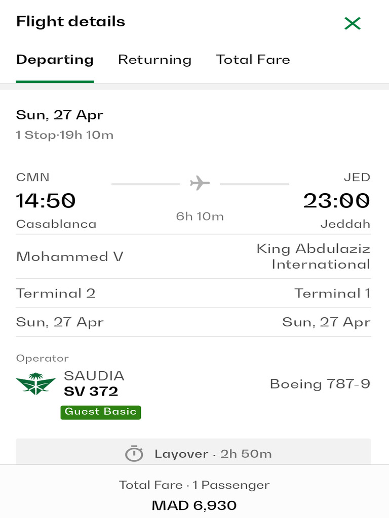 Passenger Information Saudia Airlines | PDF