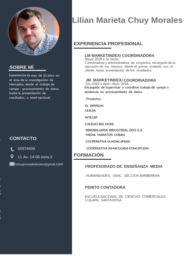 Modelo de CV Formato A4 | PDF | Plan de estudios