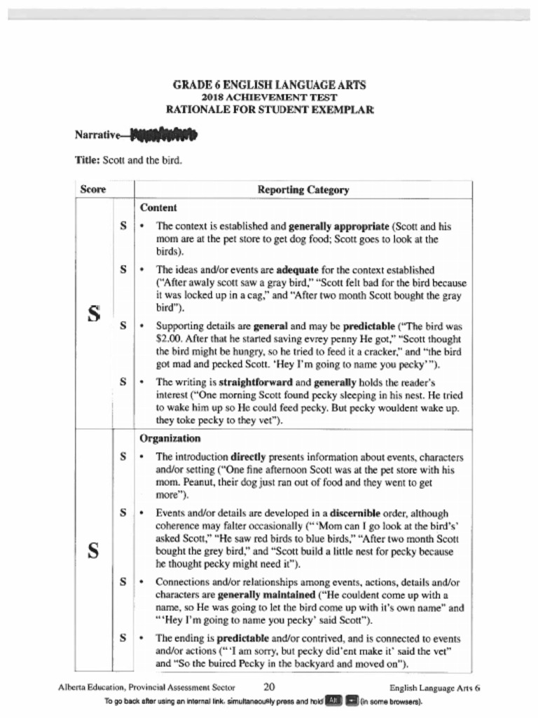 Gr 6 Rationale Student Exemplars | PDF