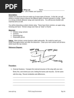 Chicken Wing Dissection Lab Guide | PDF | Epithelium | Tissue (Biology)