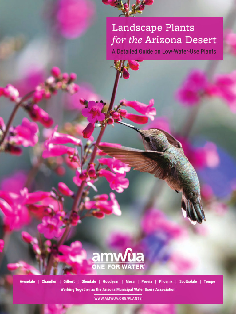 2024 Updated Plants Book | PDF | Cultivar | Mulch