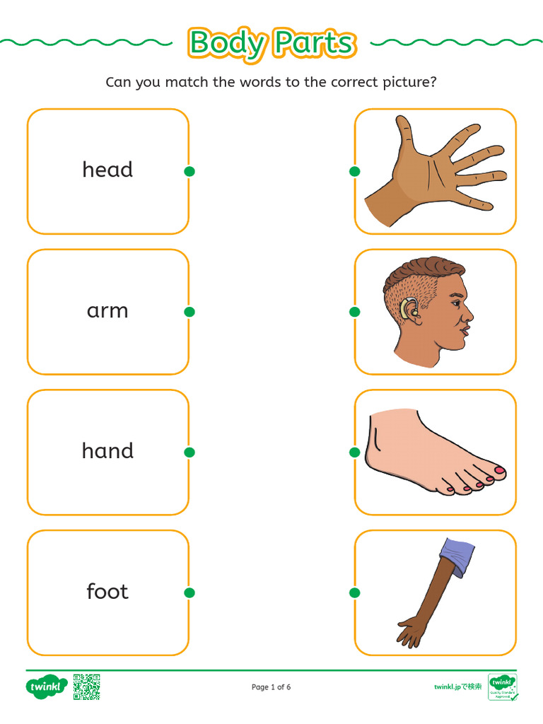 Jp Sc 1756801576 Body Parts Matching Worksheet Ver 1 | PDF