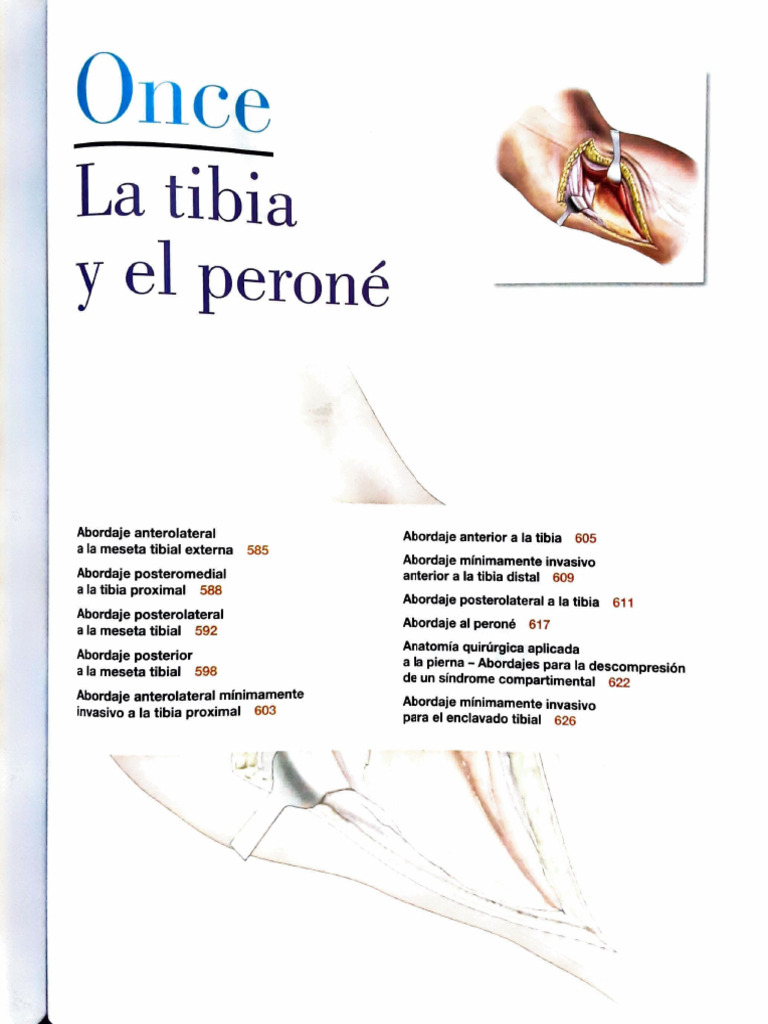Abordaje A Tibia y Perone | PDF