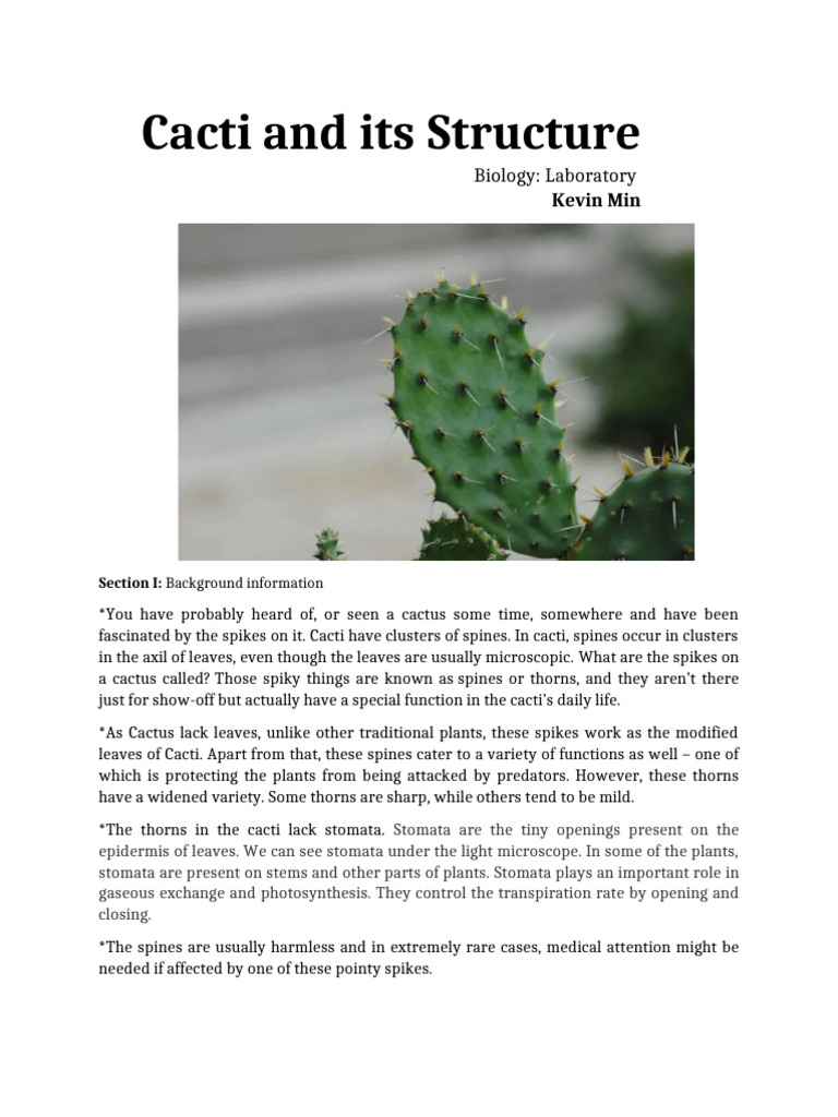 The Cactus and its Structure Biology 9th grade | PDF | Flowers | Leaf