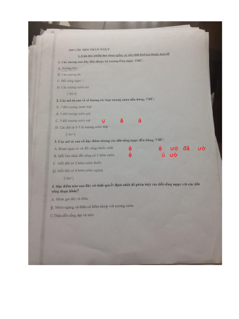NG C | PDF