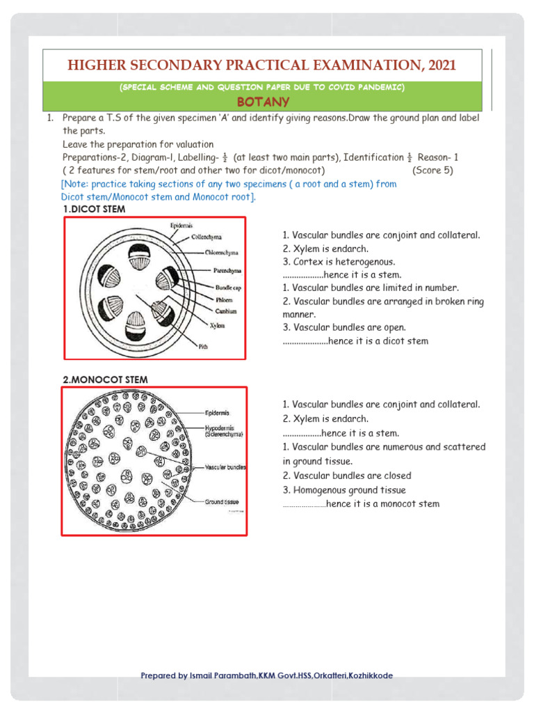 Plus Two Botany Practical Exam Special Scheme and Question Paper | PDF ...