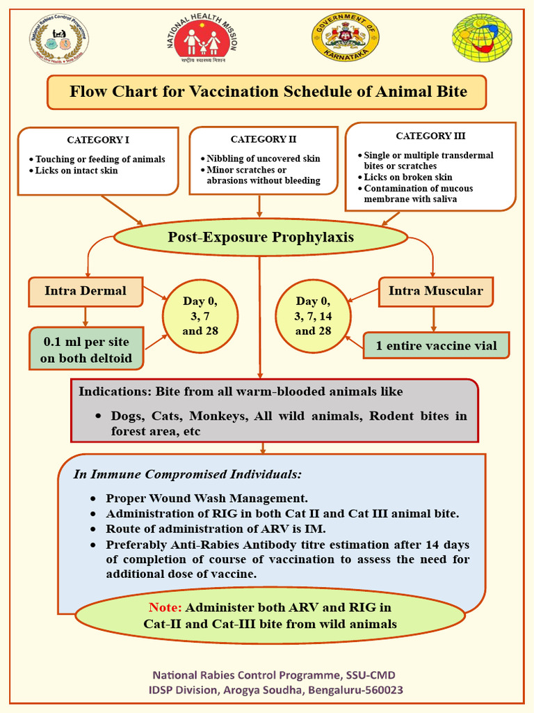 Dogbite Flowchart 20-11-2025 | PDF | Rabies | Public Health